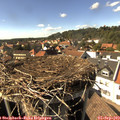 15_55-nest.jpg