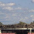 16_00-mast.jpg