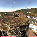 16_00-nest.jpg