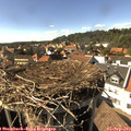 16_05-nest.jpg