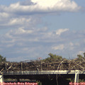 16_10-mast.jpg