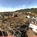 16_10-nest.jpg