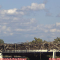 16_20-mast.jpg