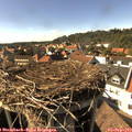 16_20-nest.jpg