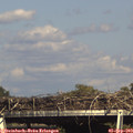 16_25-mast.jpg