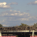 16_30-mast.jpg