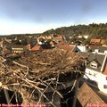 16_30-nest.jpg