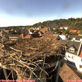 16_35-nest.jpg