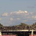 16_45-mast.jpg