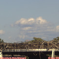 16_50-mast.jpg