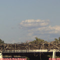 16_55-mast.jpg