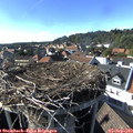 16_55-nest.jpg