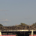 17_35-mast.jpg