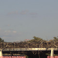 17_50-mast.jpg