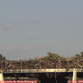 17_55-mast.jpg
