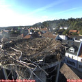 17_55-nest.jpg