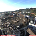 18_10-nest.jpg