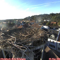 18_35-nest.jpg