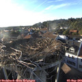 18_40-nest.jpg