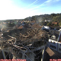 18_45-nest.jpg