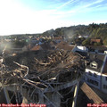 18_55-nest.jpg