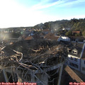 19_05-nest.jpg