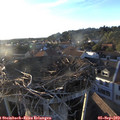 19_10-nest.jpg