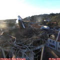 19_20-nest.jpg