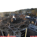 19_30-nest.jpg