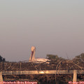 19_35-mast.jpg