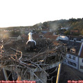 19_35-nest.jpg