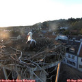 19_40-nest.jpg