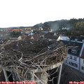 06_55-nest.jpg