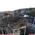 07_00-nest.jpg