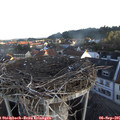 07_05-nest.jpg