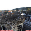 07_10-nest.jpg