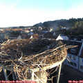 07_15-nest.jpg