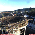 07_20-nest.jpg