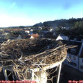 07_25-nest.jpg