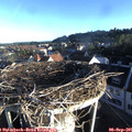 07_35-nest.jpg