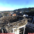 07_45-nest.jpg