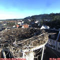 07_55-nest.jpg