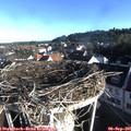 08_00-nest.jpg