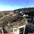 08_10-nest.jpg