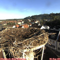 08_15-nest.jpg