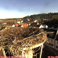08_20-nest.jpg