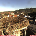 08_35-nest.jpg