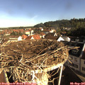 08_50-nest.jpg