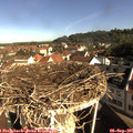 09_10-nest.jpg