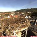 09_20-nest.jpg